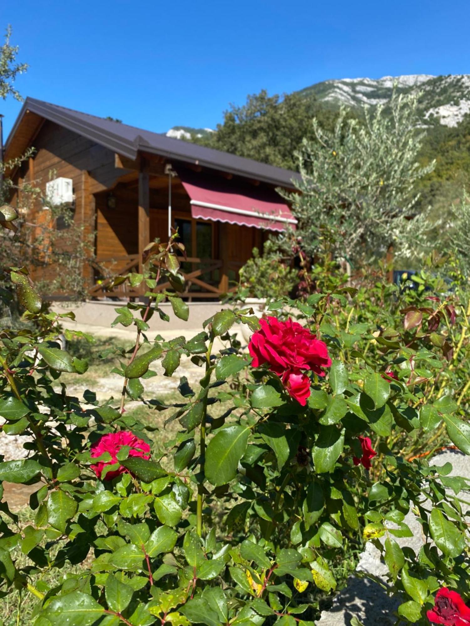 Guest House Mare Bar Extérieur photo